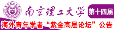 秦狩白雨凝小说南京理工大学第十四届海外青年学者紫金论坛诚邀海内外英才！